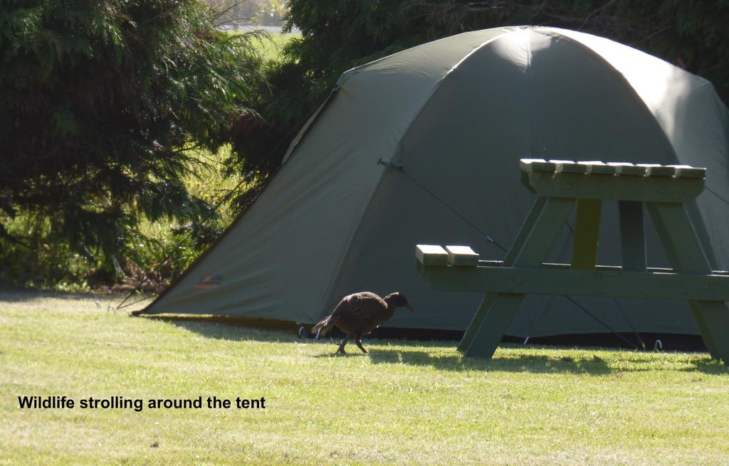 Carters Beach Top 10 Holiday Park Westport Esterno foto