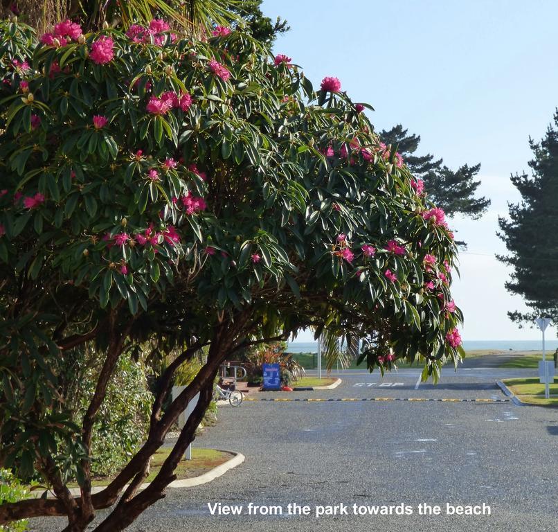 Carters Beach Top 10 Holiday Park Westport Esterno foto